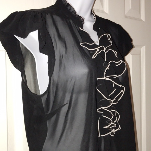 Sheer Ruffle Front Blouse - Picture 2 of 3